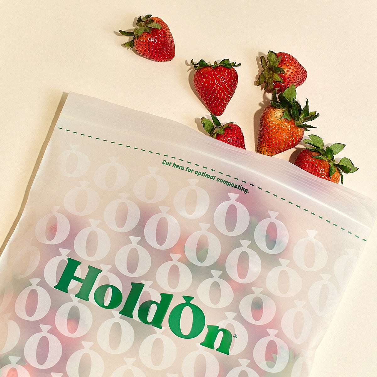 HoldOn Compostable Zipseal Gallon Bags (25-ct)