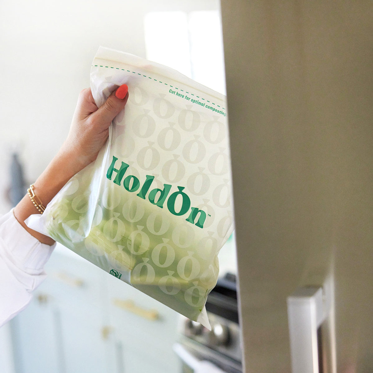 HoldOn Compostable Zipseal Gallon Bags (25-ct)