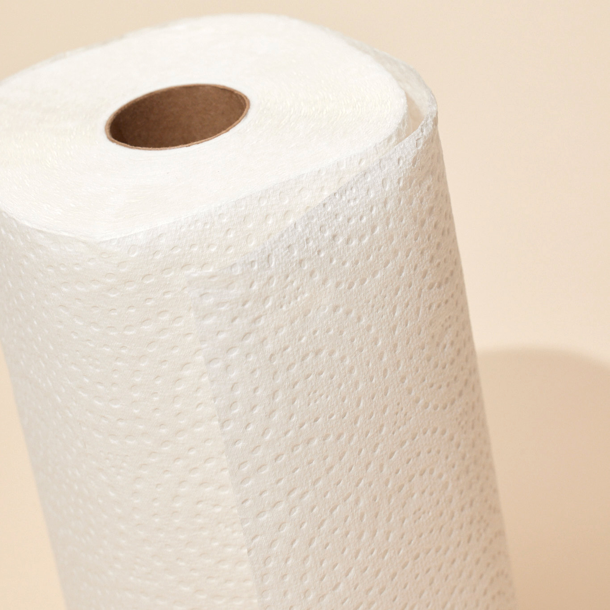 Bamboo Paper Towels (12-ct)